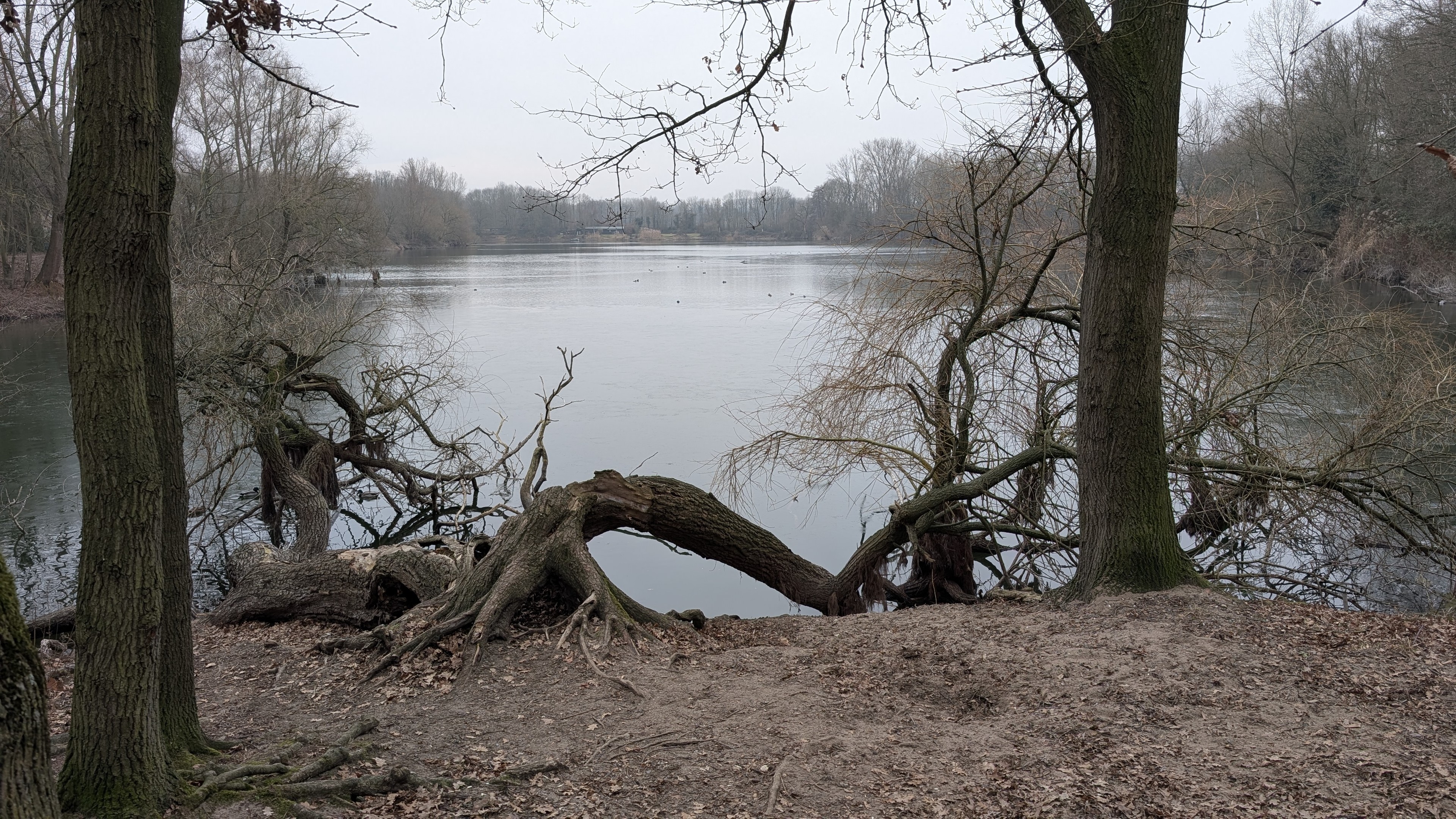 Blick auf den Latumer See