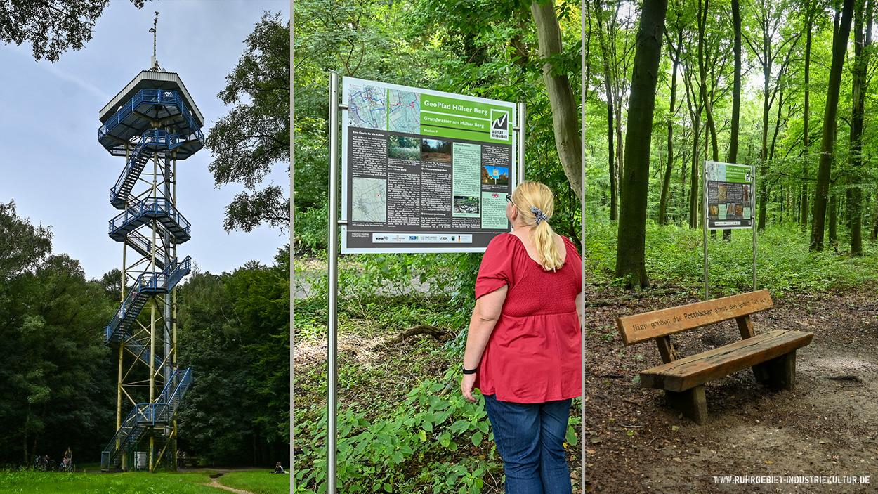 Dreiteiliges Bild vom Hülser Berg in Krefeld: Links ein hoher Aussichtsturm aus Stahl mit Wendeltreppen und Aussichtsplattform, umgeben von grünen Bäumen. In der Mitte liest eine Frau in rotem Oberteil eine Informationstafel zum GeoPfad Hülser Berg im Wald. Rechts eine Holzbank mit eingravierter Aufschrift auf einem Waldweg zwischen hohen Bäumen.