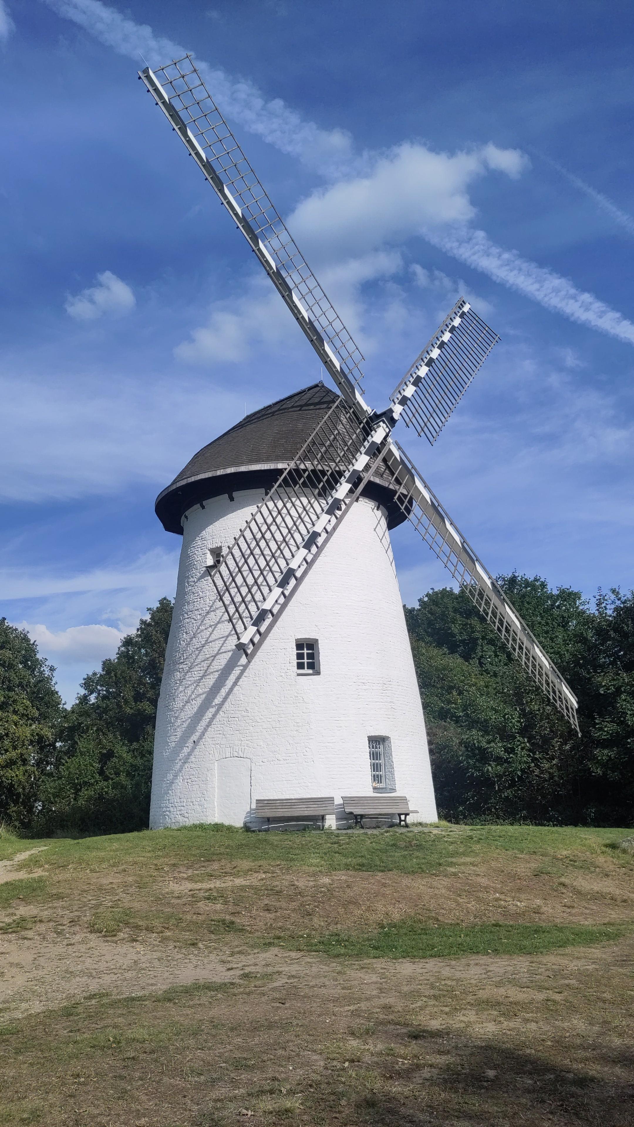 Eine weiß getünchte Turmwindmühle mit dunkelgrauem Schindeldach und schwarz-weiß gestreiften Flügeln auf einem grünen Hügel, im Hintergrund dunkelgrüne Bäume. Blauer Himmel mit Wölkchen und Kondenzstreifen