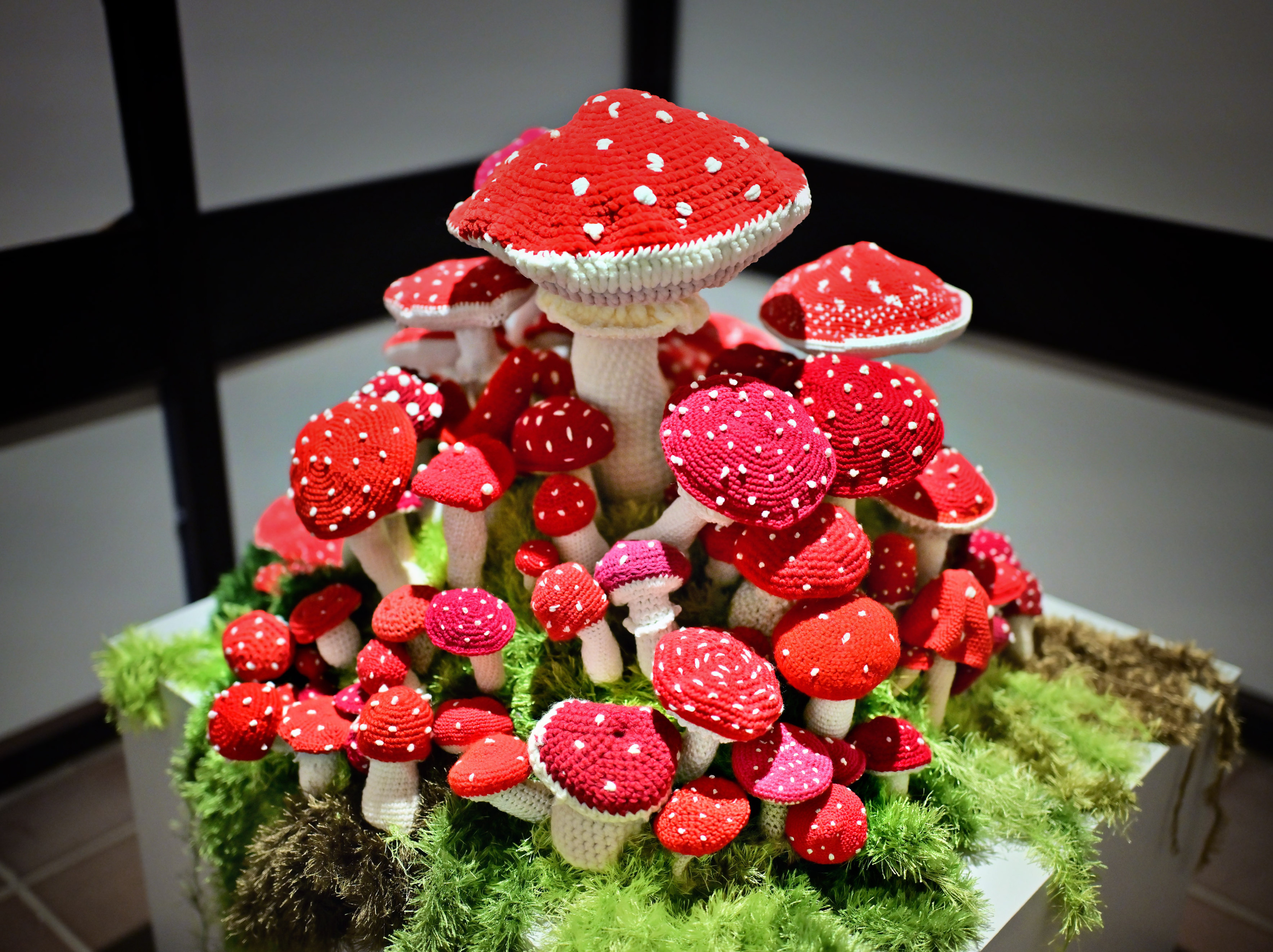 Eine dichte Gruppe gehäkelter Fliegenpilze mit roten Kappen und weißen Punkten steht auf einer moosgrünen, ebenfalls textilen Fläche. Die unterschiedlich großen Pilze bilden eine kleine Fantasielandschaft, in deren Mitte ein besonders großer Pilz herausragt. Die Installation ist in einem Innenraum ausgestellt.