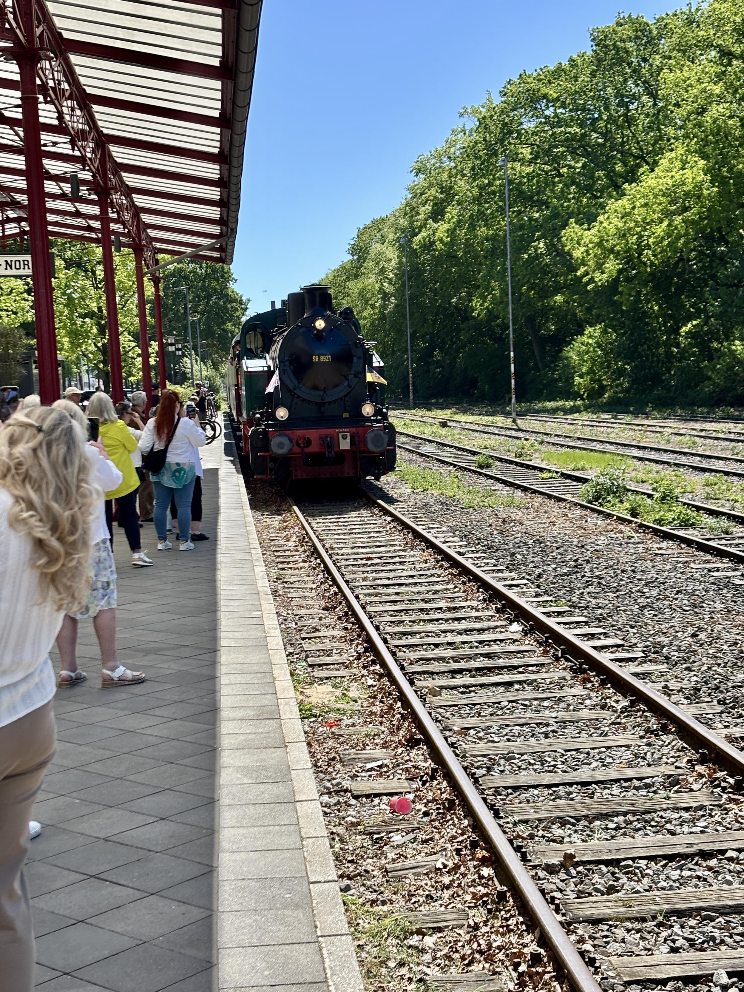 A vintage steam locomotive is arriving at a train station with a covered platform. A crowd of people is waiting along the platform, surrounded by greenery and blue skies. The tracks extend into the distance beside the platform.