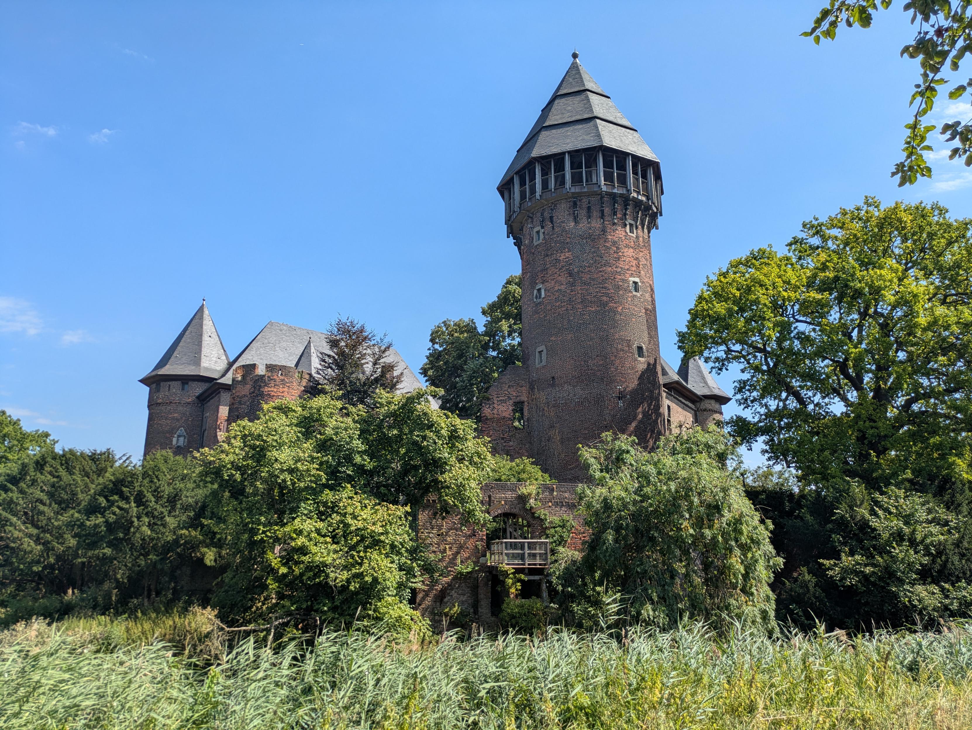 Man sieht eine Burg mit drei spitzen Türmen vor einem blauen Himmel. Vor der Burg stehen viele Bäume und am unteren Bildrand sieht man das Schilf vor dem Burggraben.