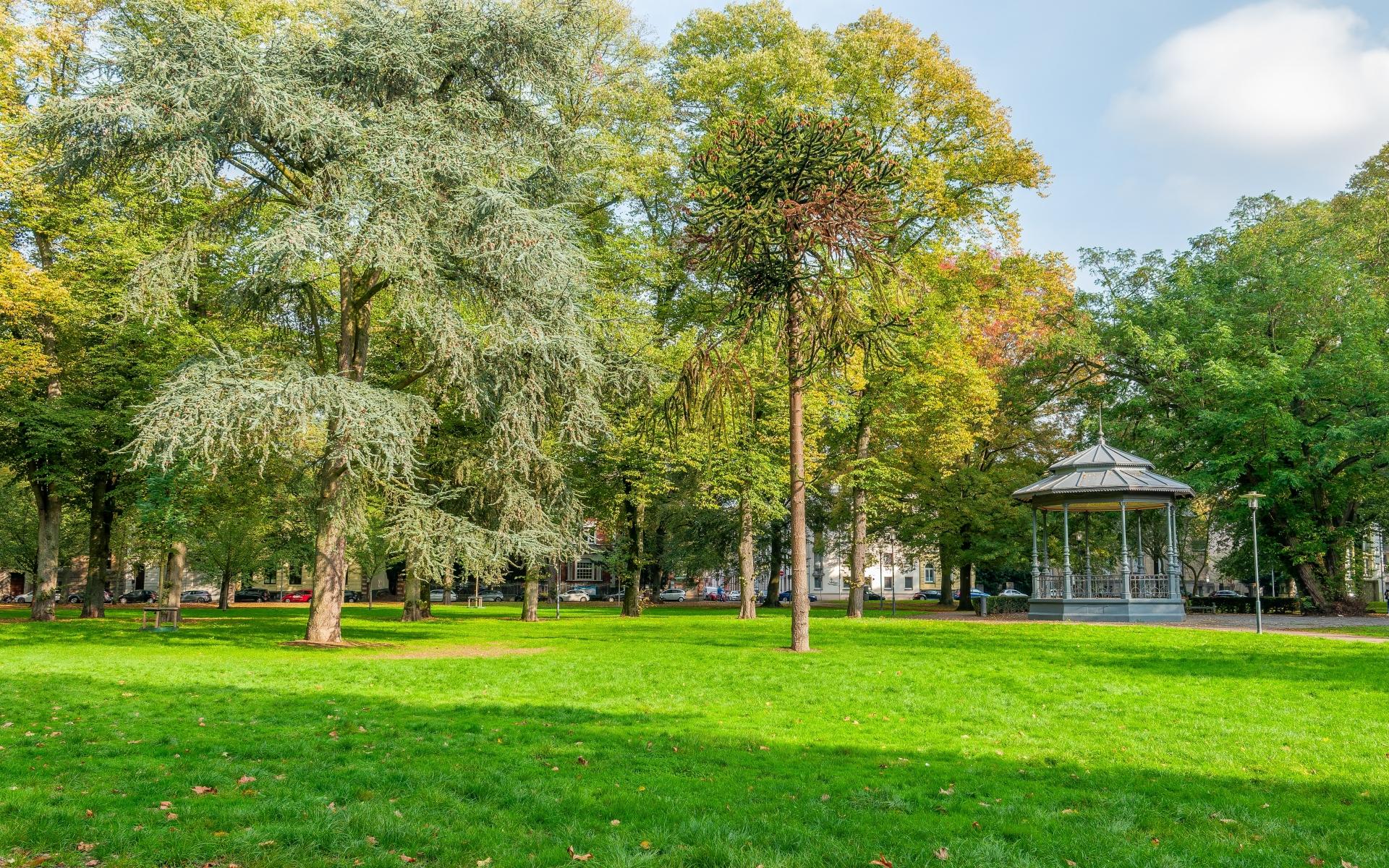 Blick auf den Krefelder Stadtgarten mit einer weitläufigen grünen Rasenfläche und zahlreichen alten Bäumen, deren Laub sich teilweise herbstlich verfärbt. Rechts im Bild steht der historische, grau gestrichene Musikpavillon mit seinem markanten Dach und filigranen Metallstützen. Im Hintergrund sind Häuser und parkende Autos zu sehen.