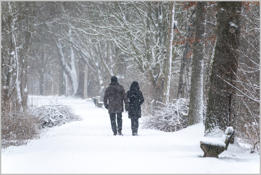 Hallo zusammen, Schnee macht etwas mit uns. Ich weiß nicht genau, was es ist, aber sobald die ersten Flocken fallen, die erste zarte Schicht weiß am Boden bleibt, sobald das passiert, tauchen unzäh…