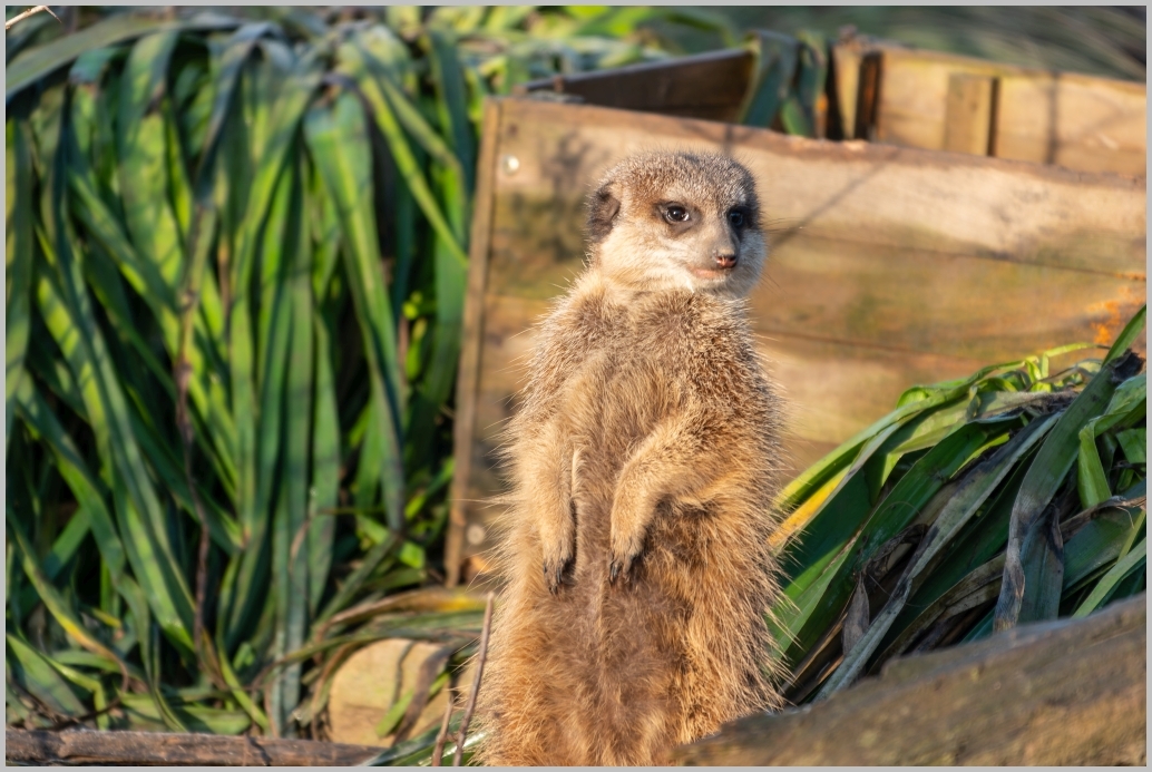 Hallo ihr Lieben, ich war mal wieder mit dem Fahrrad unterwegs und komme heute endlich dazu, darüber einen kleinen Blogbeitrag zu schreiben. Vergangenen Sonntag war ich am Nachmittag zu einem Spiel…