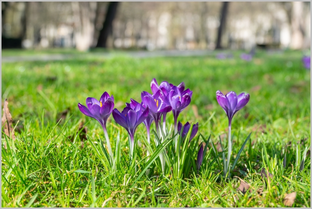 Hallo ihr Lieben, endlich wieder auf dem Rad, endlich wieder Sonne. Am Mittwoch habe ich spontan die Chance genutzt und eine kleine Runde „um den Block“ gedreht. Kaum war das Rad aus de…