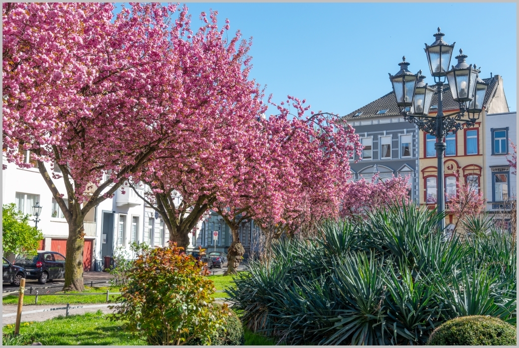 Ihr Lieben, die Radtour war kurz, aber sie hat gut getan. Wenn ihr hier schon eine Weile mitlest, wisst ihr ja, dass ich, neben den Flugzeugen, auch Eisenbahnen ziemlich cool finde. Klingt jetzt ir…