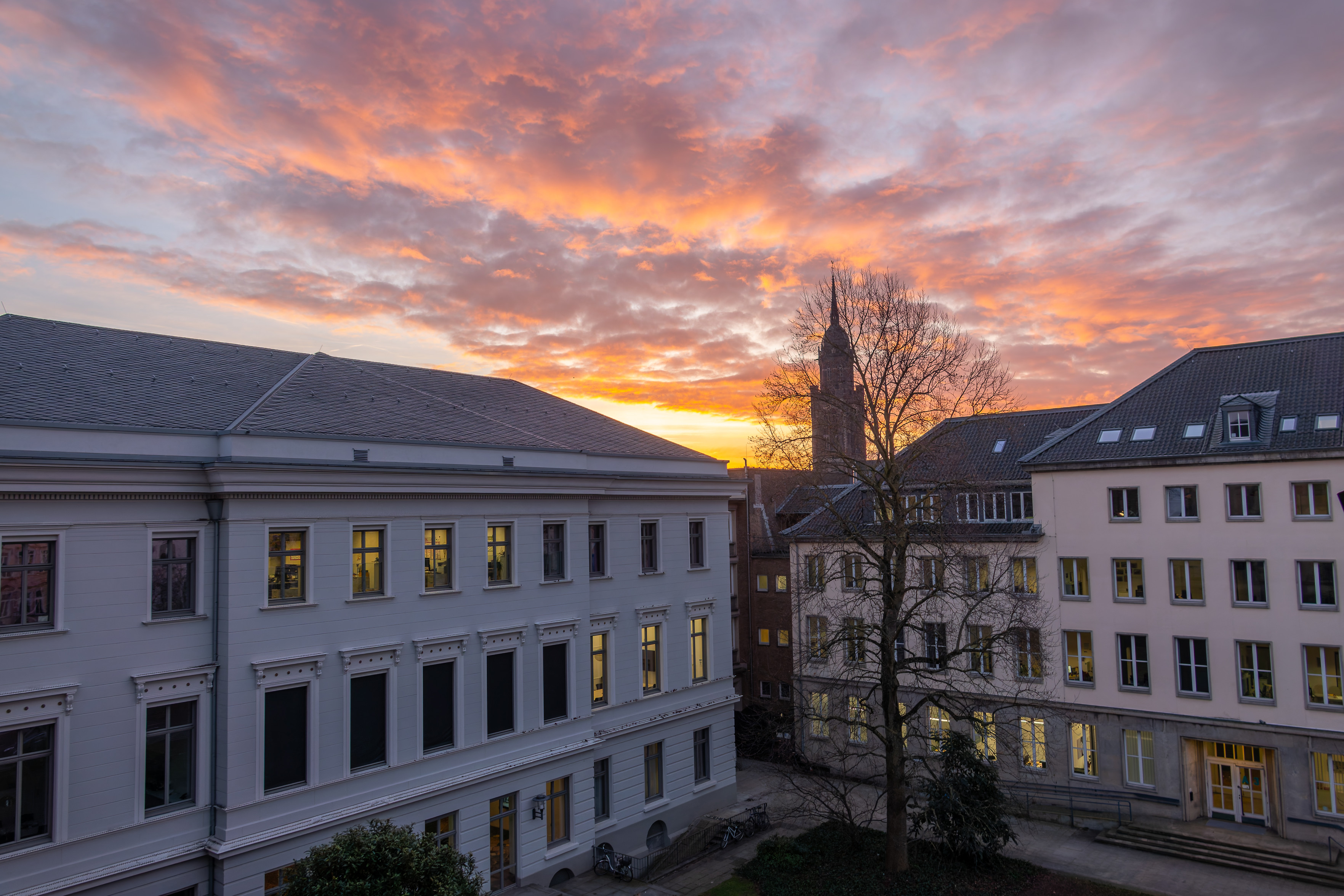 Blick in einen Innenhof zwischen mehrstöckigen Gebäuden mit vielen Fenstern. In der Mitte steht ein kahler Baum; dahinter ragt ein Kirchturm auf. Über den Dächern leuchtet ein dramatischer Sonnenaufgang mit orange-rosa Wolken, einige Fenster sind warm beleuchtet.