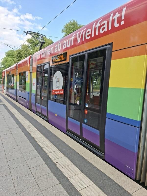 Foto unserer Straßenbahn mit Regenbogen Streifen.